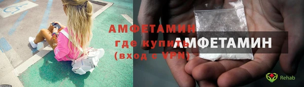 дживик Бородино