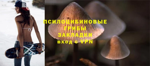 твердый Бронницы