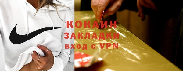 дживик Бородино