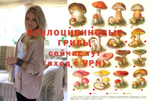 дживик Бородино