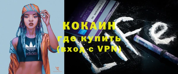 дживик Бородино